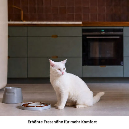 Erhöhter Porzellannapf für Katzen im modernen Zuhause