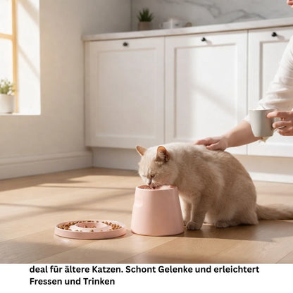 Erhöhter Porzellannapf für Katzen fördert eine gesunde Fresshaltung und schont Nacken und Gelenke
