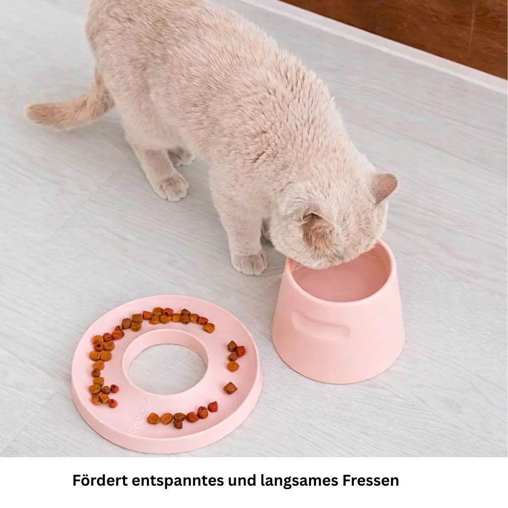 Erhöhter Porzellannapf kombiniert mit Ring Slowfeeder für Katzen