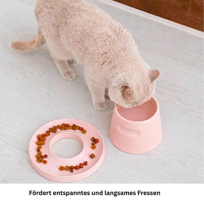 Erhöhter Porzellannapf kombiniert mit Ring Slowfeeder für Katzen