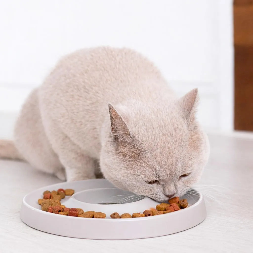 Detailansicht des Hoopo Ring grau Slowfeeder mit Katzenfutter im Napf