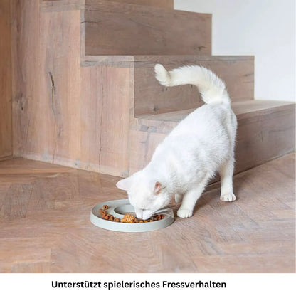 Detailansicht des Hoopo Ring Slowfeeder mit Katzenfutter im Napf