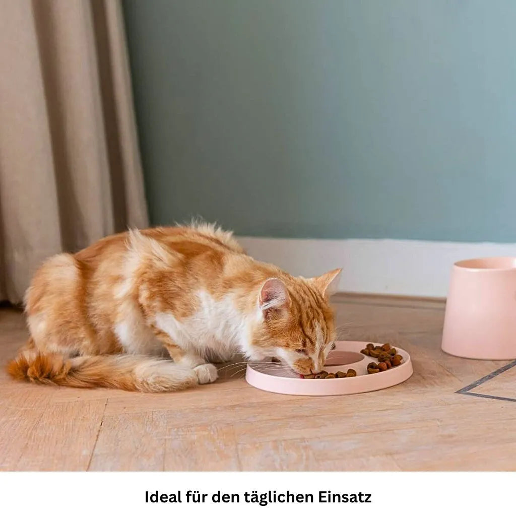 Katze frisst frontal aus dem Hoopo Ring Slowfeeder aus Porzellan