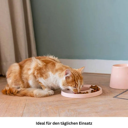 Katze frisst frontal aus dem Hoopo Ring Slowfeeder aus Porzellan