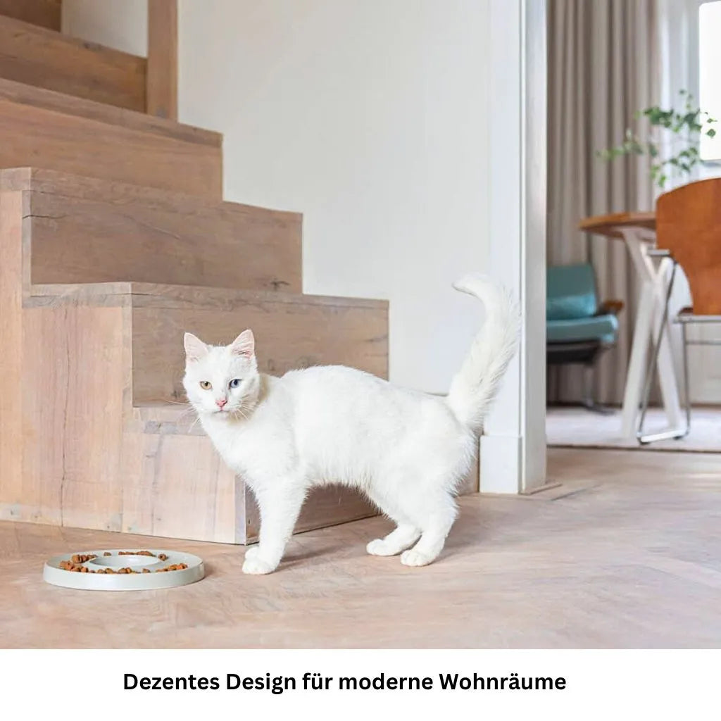 Katze nähert sich dem Hoopo Ring Slowfeeder Futternapf im Wohnraum