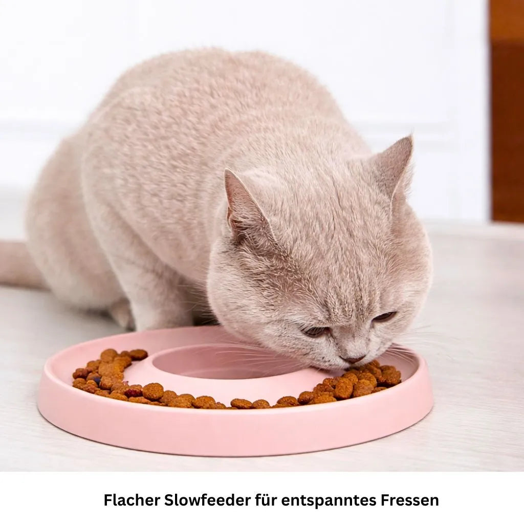 Nahaufnahme einer Katze beim langsamen Fressen aus dem Hoopo Slowfeeder rosa