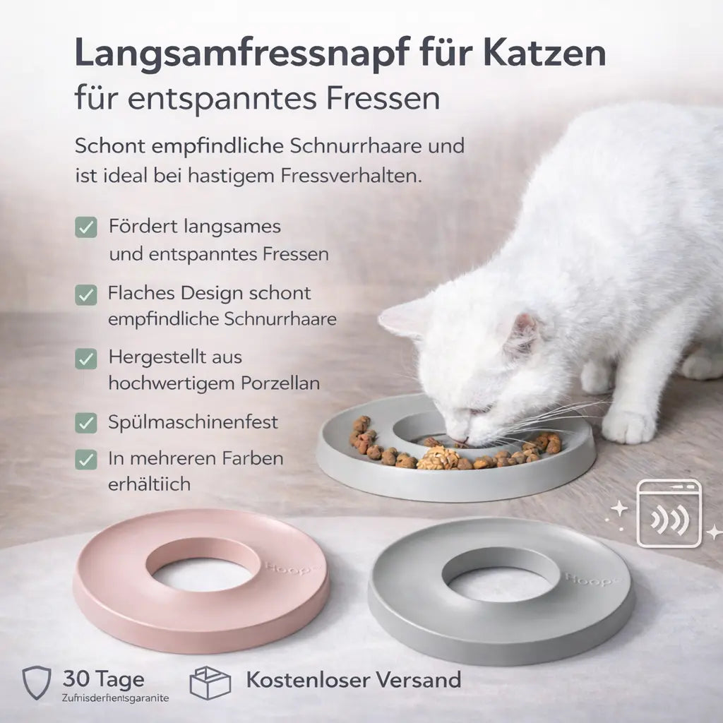 Katze frisst langsam aus flachem Slowfeeder Napf gegen Schnurrhaarmuedigkeit