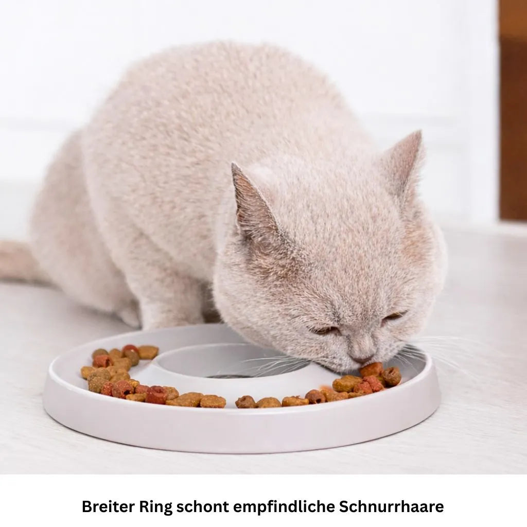 Hoopo Ring Slowfeeder aus Porzellan in grauer Farbe