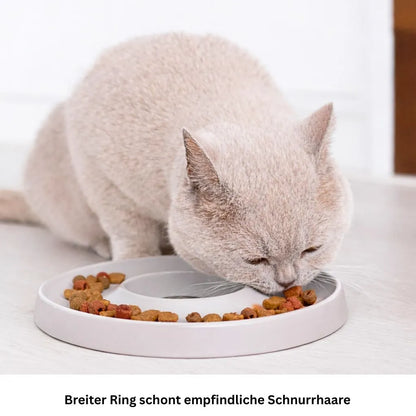 Hoopo Ring Slowfeeder aus Porzellan in grauer Farbe