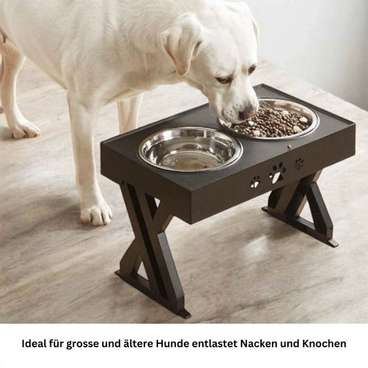  Grosser Hund frisst bequem aus erhöhtem Napf entlastet Nacken & Gelenke
