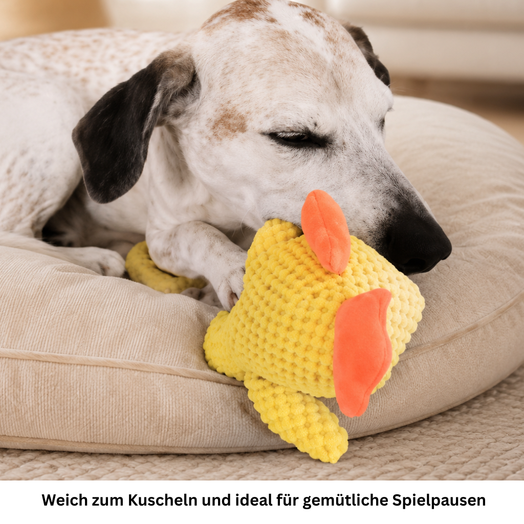 Weiss-brauner Hund kuschelt auf seinem Kissen mit der gelben Spielzeug-Ente.