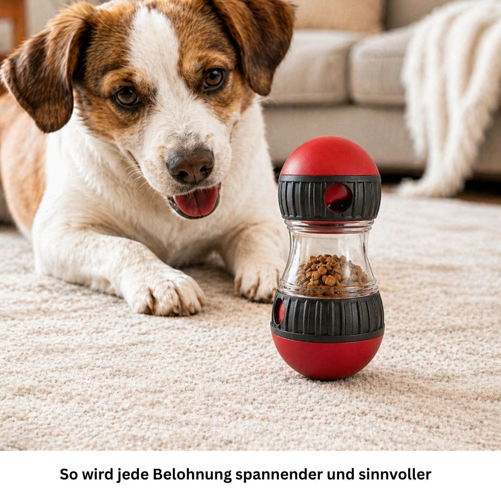 Hund liegt auf einem Teppich neben einem roten Leckerli Spielzeug in einem hellen Wohnzimmer