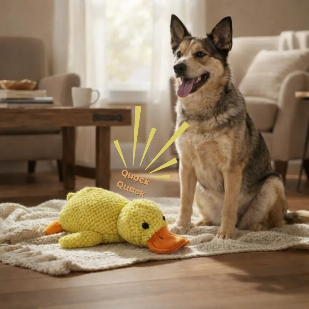 Schäferhund sitzt neben einer gelben Hundespielzeug-Ente.