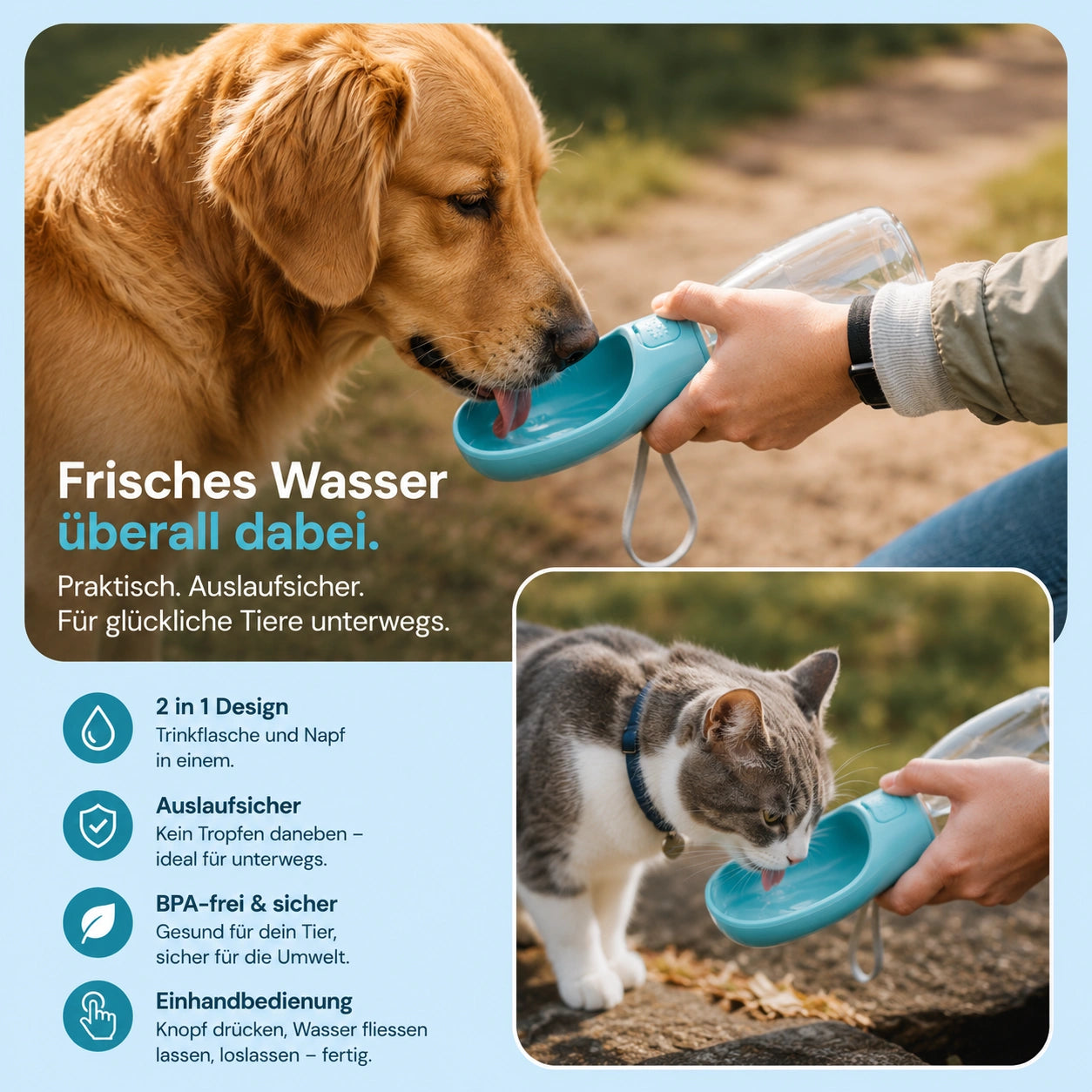 Hund und Katze trinken unterwegs aus einer tragbaren türkisen Trinkflasche