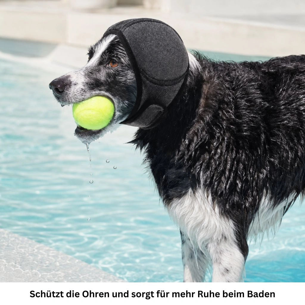 Hund trägt schwarzen Ohrenschutz beim Schwimmen im Wasser