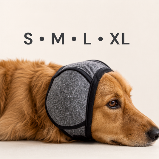 Goldener Hund mit grauem Hunde-Ohrenschutz, erhältlich in S, M, L und XL