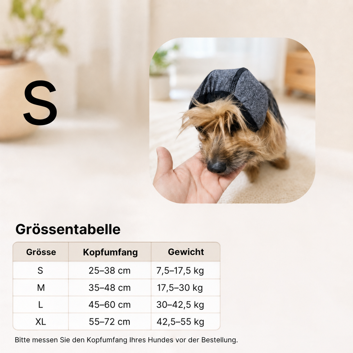 Hunde-Ohrenschutz in Grösse S mit Grössentabelle und kleinem Hund