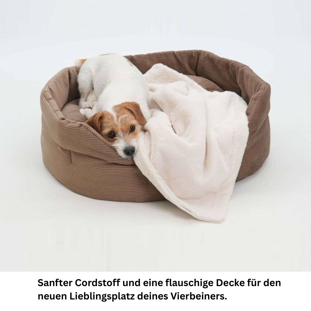 Ein Hund liegt eingekuschelt unter einer flauschigen, hellen Decke im gepolsterten braunen Hundebett.