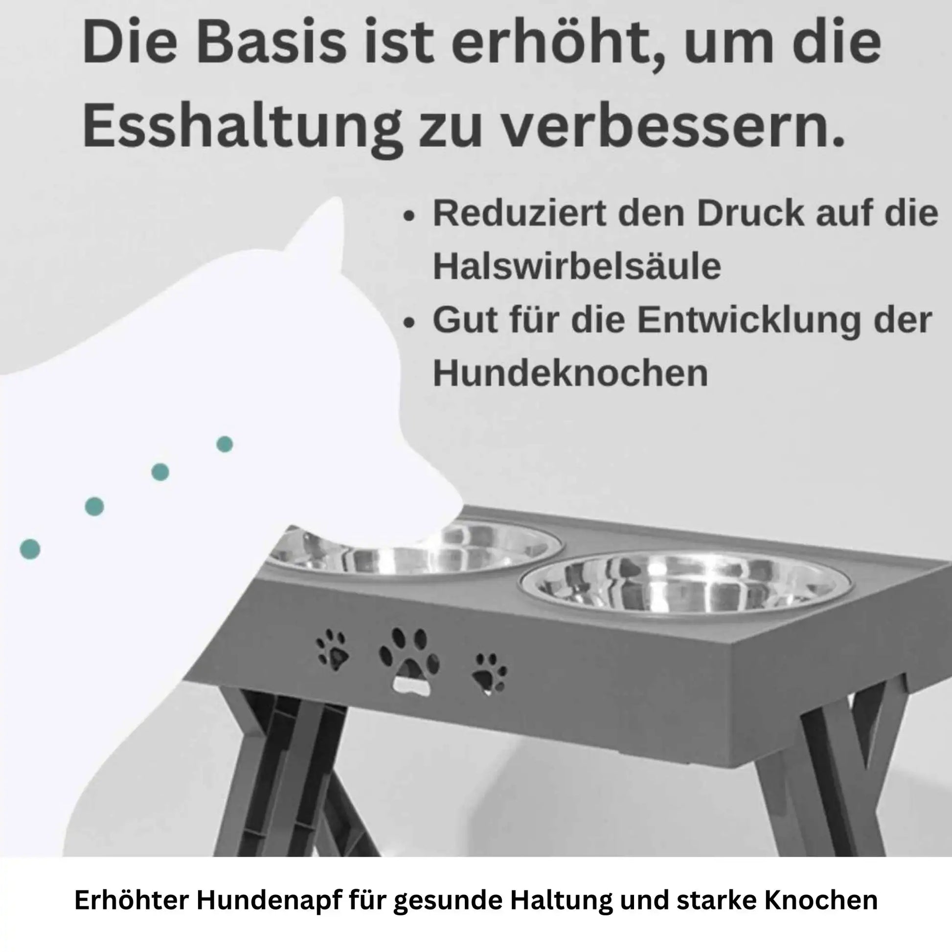 Produktvorteile des erhöhten Napfs: Rutschfest, ergonomisch & hygienisch
