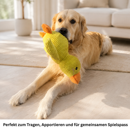 Golden Retriever liegt im Wohnzimmer und hält die gelbe Hundespielzeug-Ente im Maul.