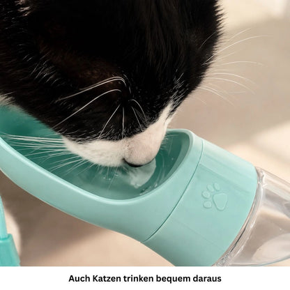 Katze trinkt Wasser aus der integrierten Schale einer tragbaren Trinkflasche