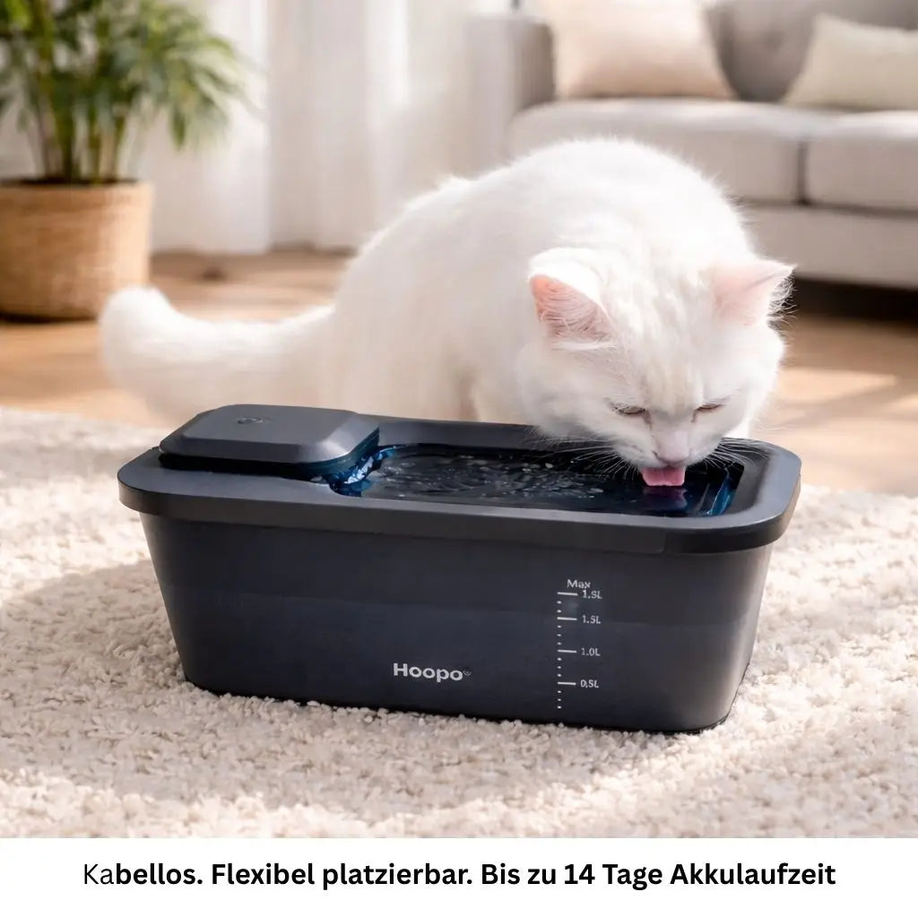 Katze trinkt aus modernem schwarzen Wasserbrunnen fuer Haustiere