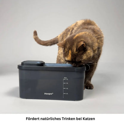 Katze trinkt aus modernem schwarzen Wasserbrunnen fuer Haustiere