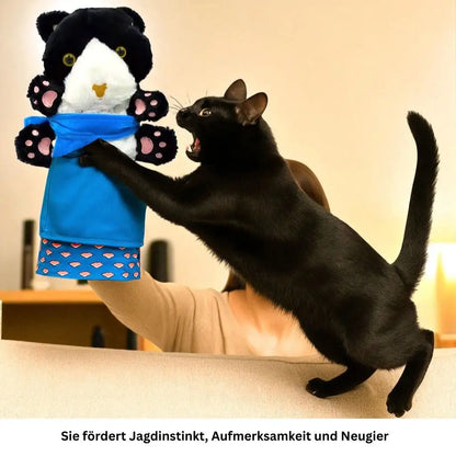 Schwarze Katze spielt mit Katzen-Handpuppe hinter dem Sofa.