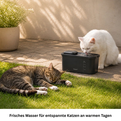 Katzen trinken draussen aus einem kabellosen schwarzen Trinkbrunnen