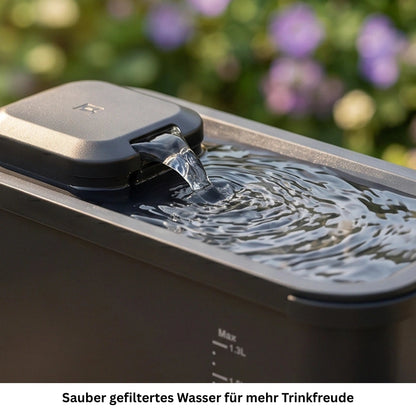 Schwarzer Katzenbrunnen mit fliessendem und gefiltertem Wasser