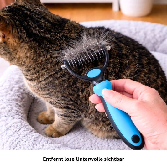 Unterfellbuerste wird zum Entfernen loser Haare bei einer Katze verwendet