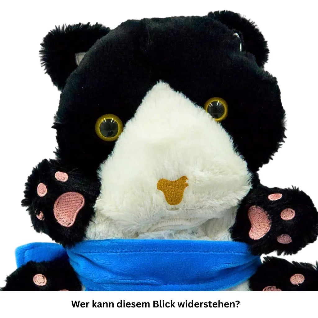 Gesicht der Spielkatze in Schwarz-Weiß mit blauer Schleife