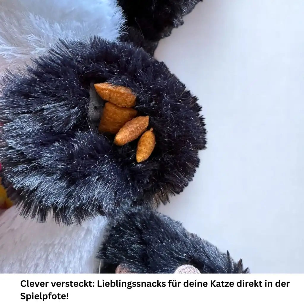 Detail der Katzenpfote mit braunen Leckerli