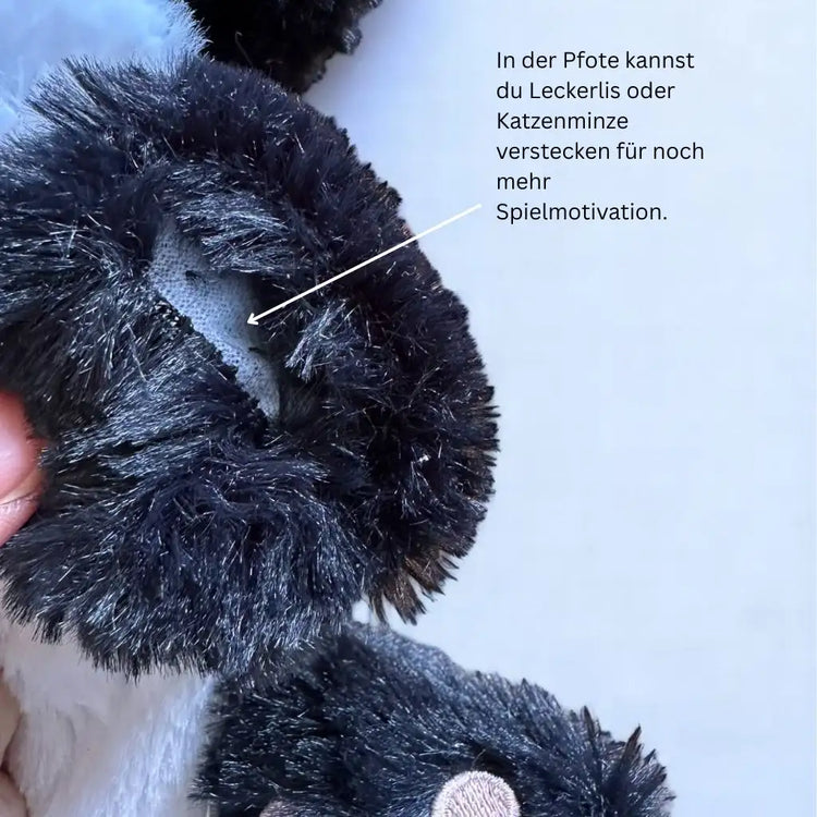 Nahaufnahme der geöffneten schwarzen Katzenpfote mit Textmarkierung „Leckerli-Fach“