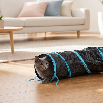 Katze kommt aus Katzentunnel heraus im Wohnzimmer