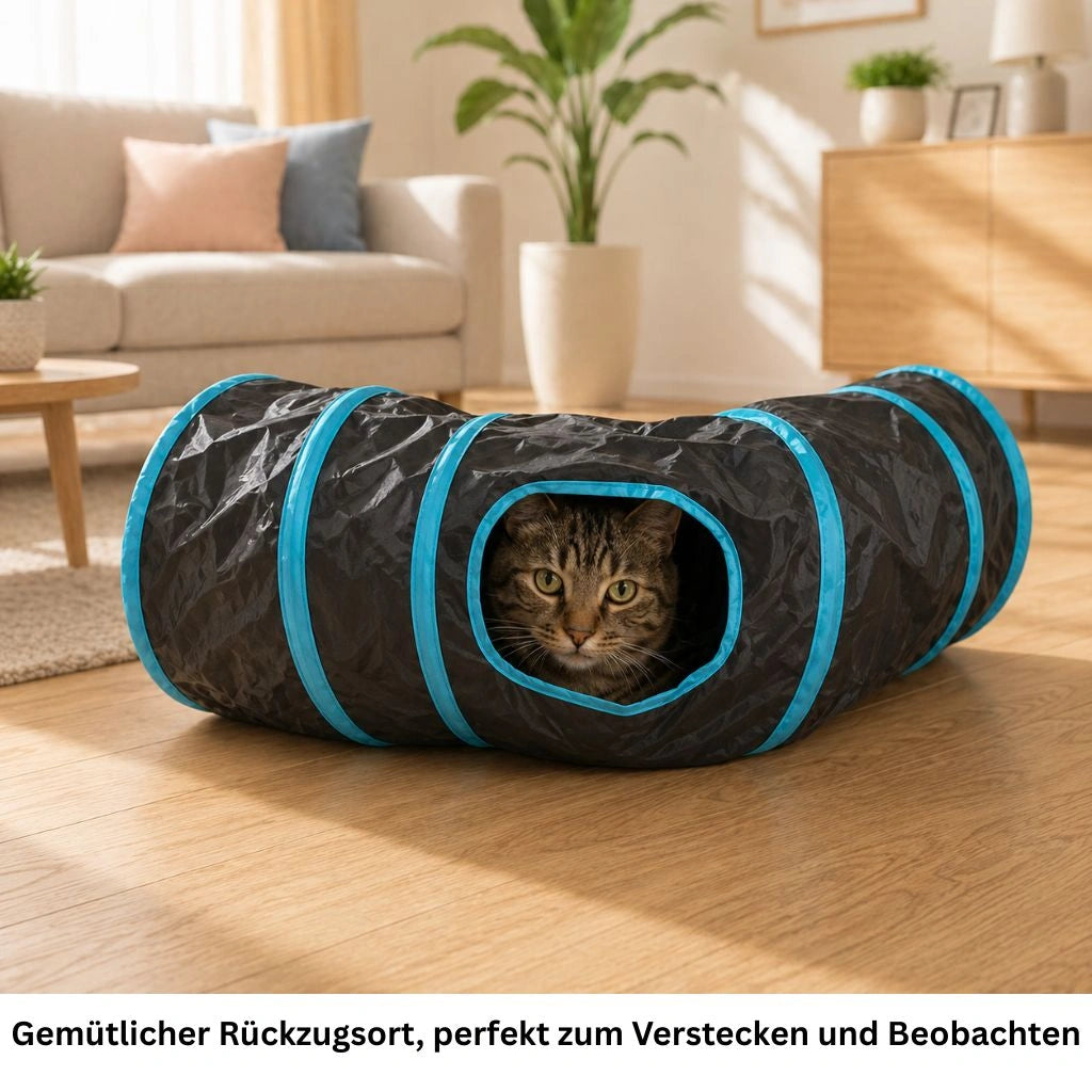 Katzentunnel vollständig ausgeklappt im modernen Wohnzimmer