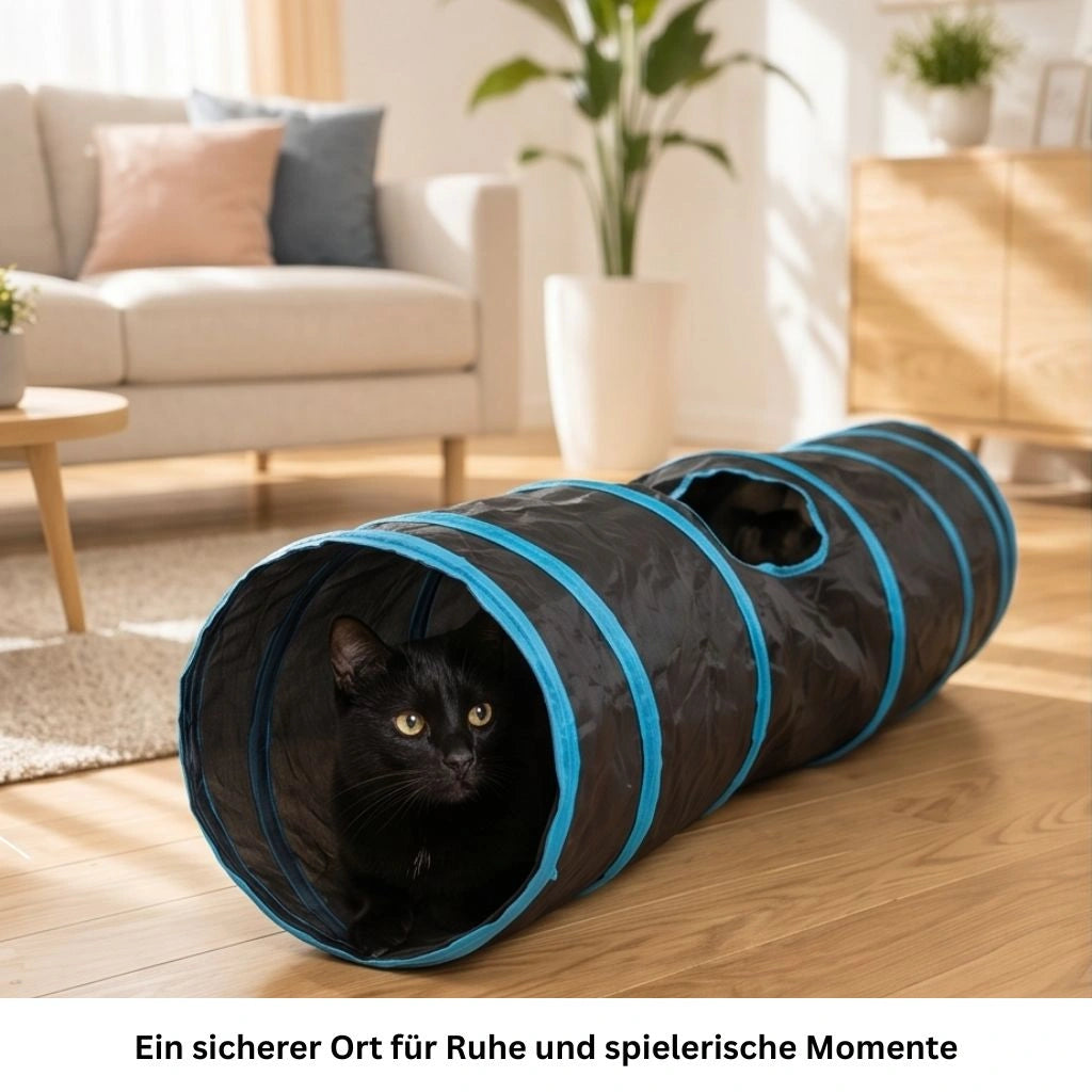 Katze geht in den Katzentunnel hinein