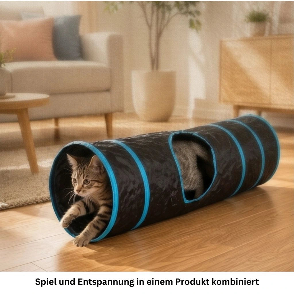 Katze erkundet Katzentunnel von aussen im Wohnzimmer