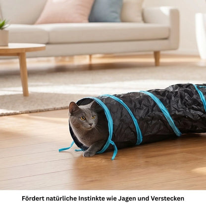 Katze liegt entspannt im Katzentunnel