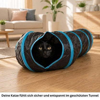 Katzentunnel kompakt gefaltet neben Katze