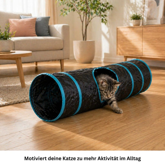 Katze spielt aktiv mit Katzentunnel im Wohnzimmer