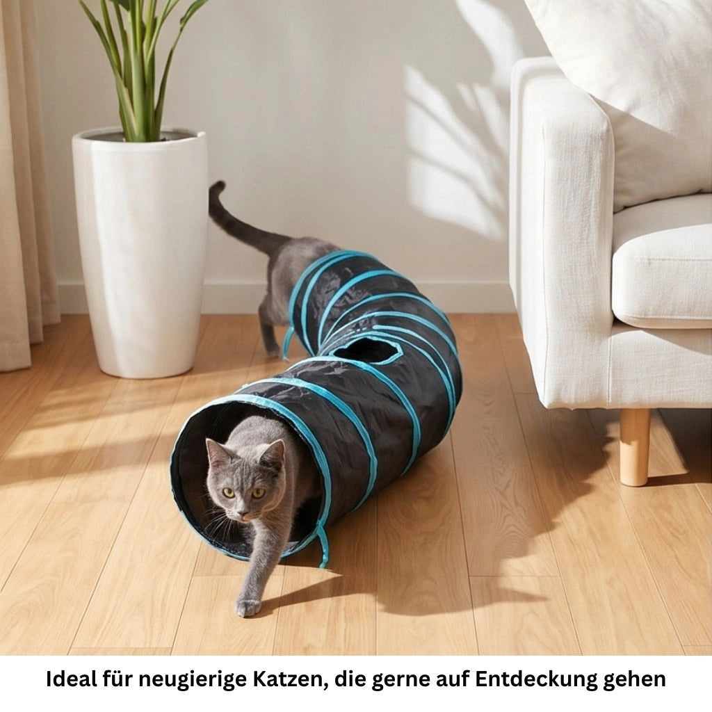 Katze nutzt Katzentunnel zum Spielen und Verstecken