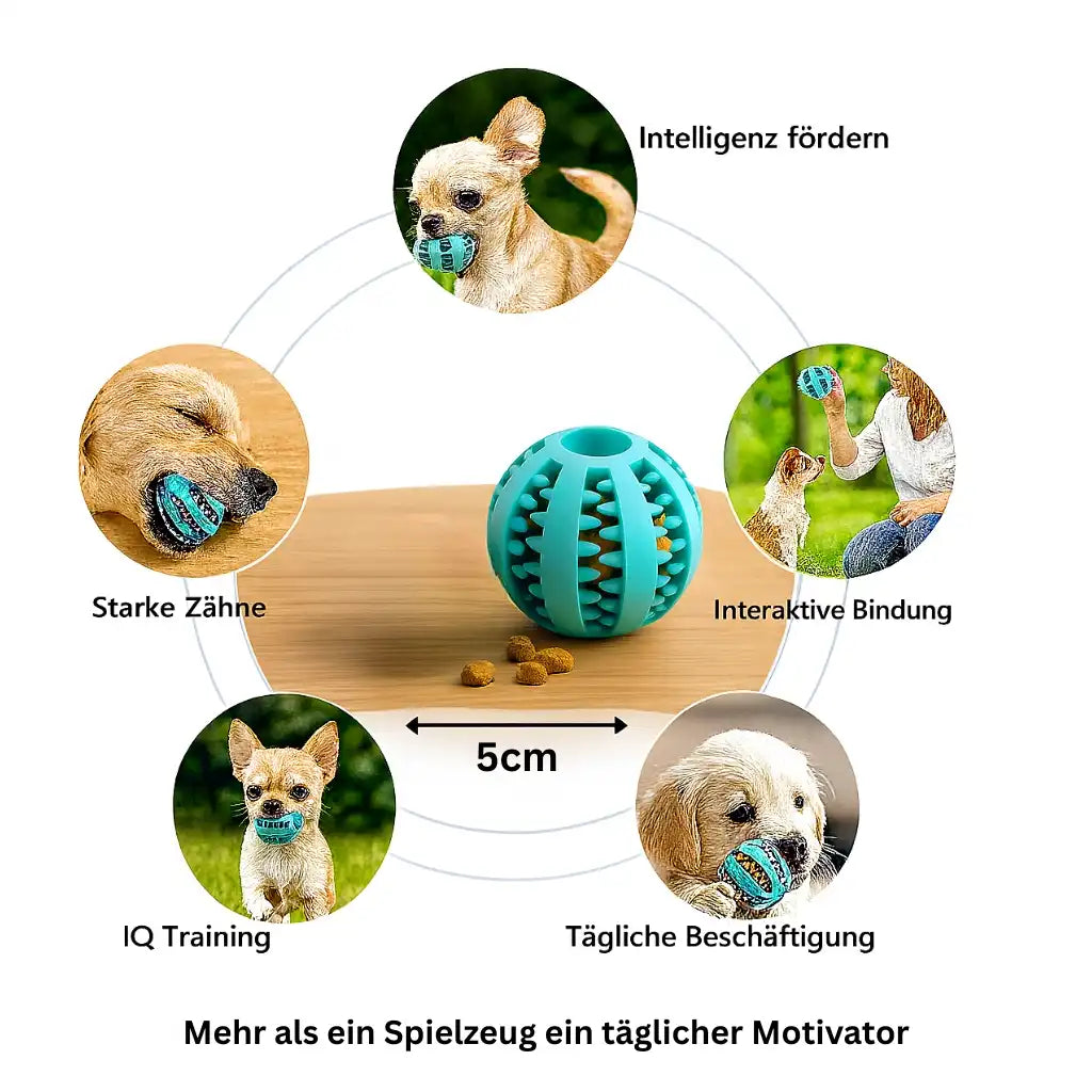 Kleiner Kauball 5 cm für Hunde mit Leckerli Funktion und täglicher Beschäftigung