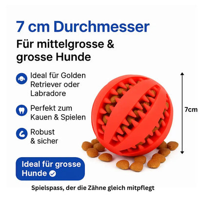 Grosser Kauball 7 cm für mittelgrosse und grosse Hunde, robust und sicher