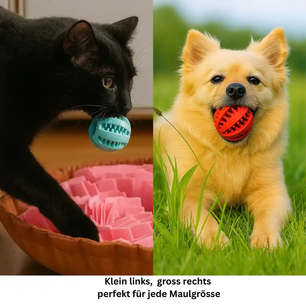 Kauball für Hunde und Katzen in zwei Grössen zur Zahnreinigung und zum Spielen