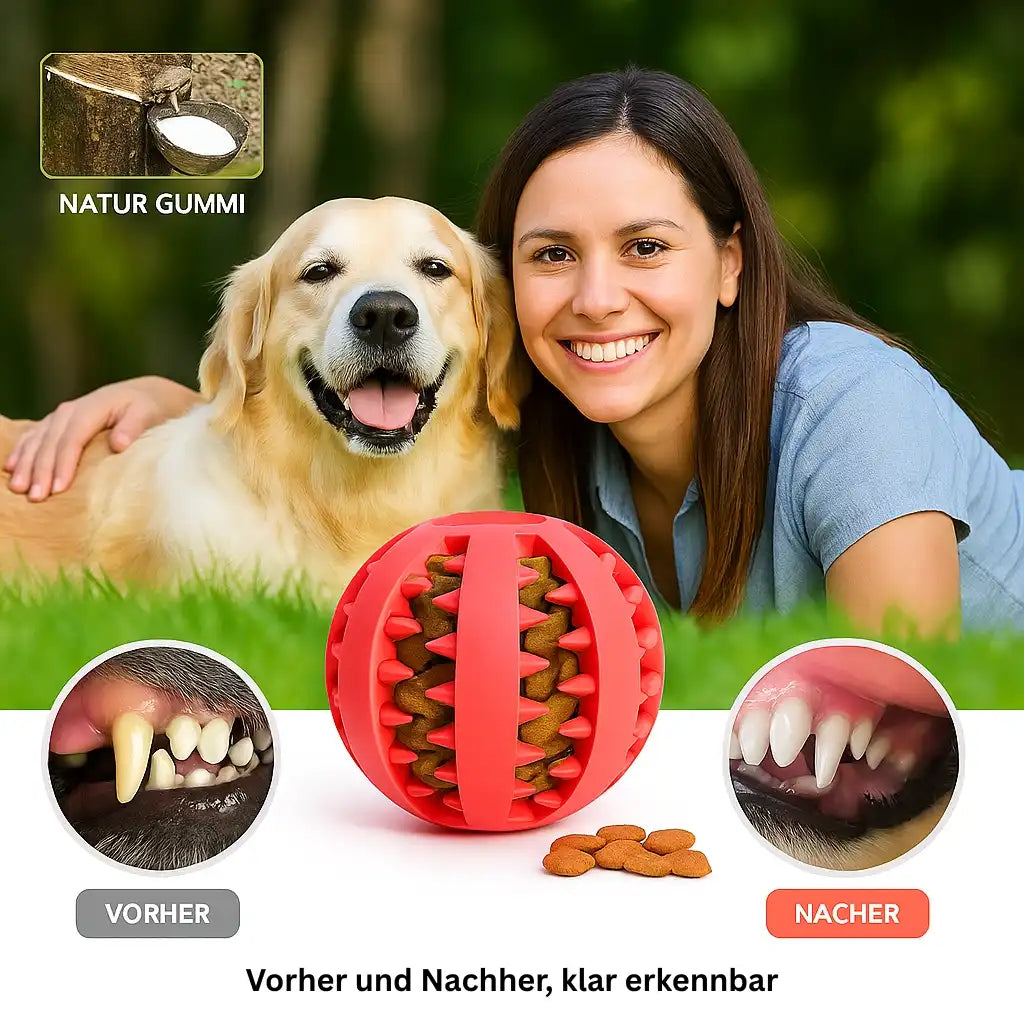 Katzen und Hunde Kauball aus Naturgummi mit Vorteilen für Zahnpflege und Intelligenzförderung