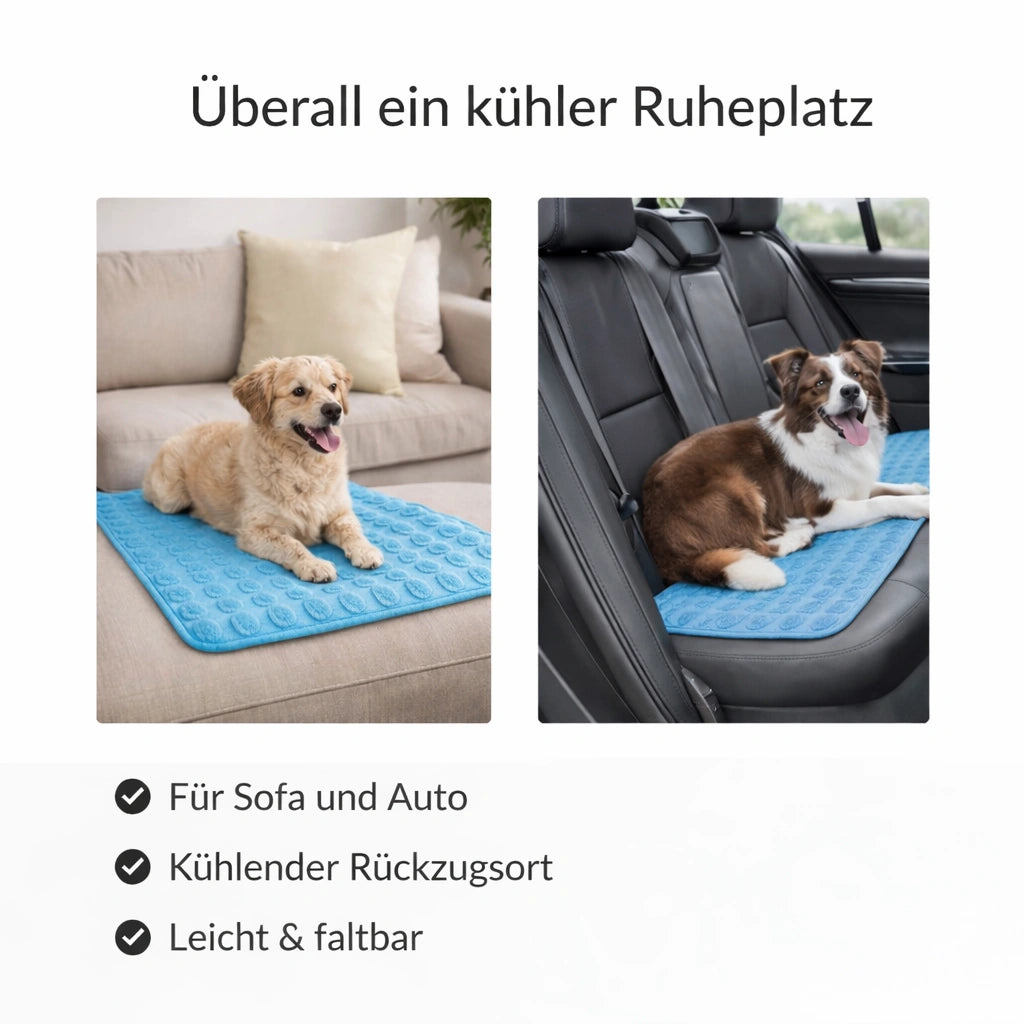 Kuehlmatte fuer Hunde auf Sofa und im Auto als kuehler Ruheplatz