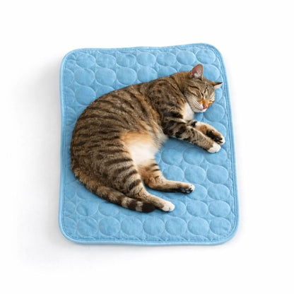 Katze liegt entspannt auf blauer selbstkuehlender Kuehlmatte fuer Haustiere