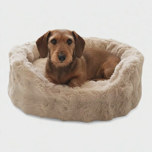Hundebett Chester Nomi weiches Kuschelbett für Hunde in Kies, Beige