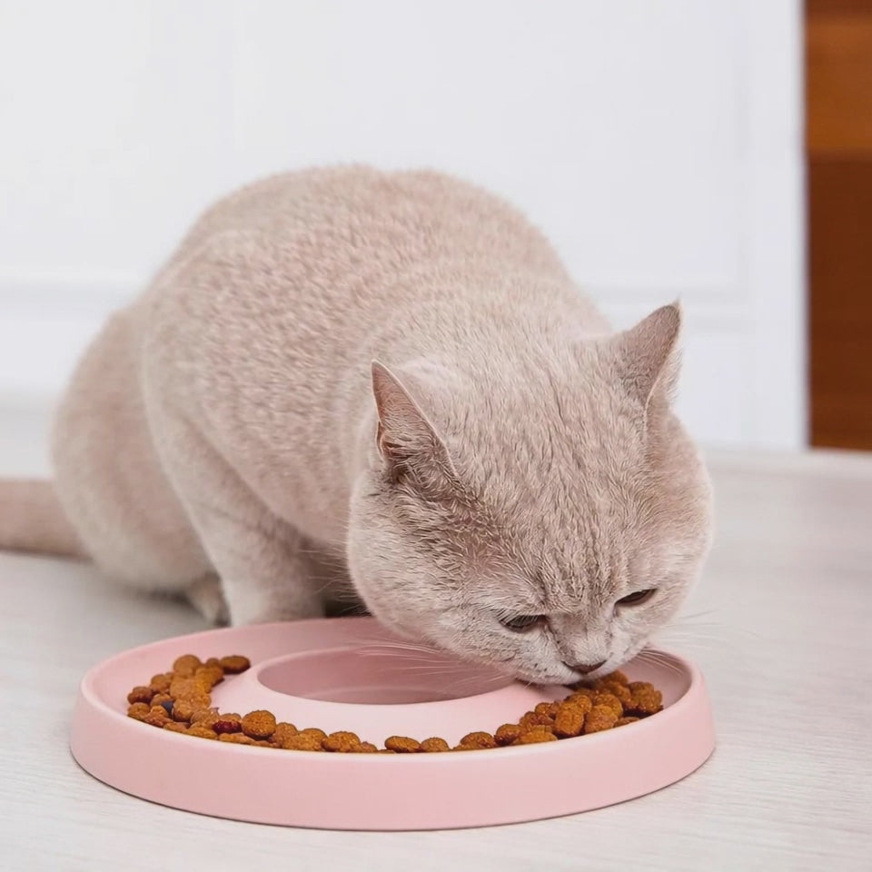 hoopo-ring-slowfeeder-info-langsamfressen